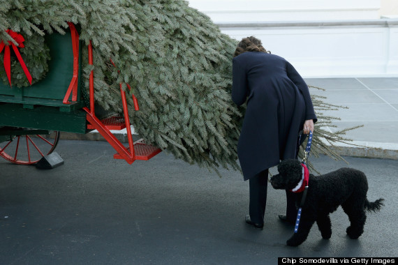 Michelle Obama Receives Official White House Christmas Tree