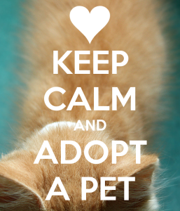 keep-calm-and-adopt-a-pet-6