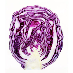 red-cabbage-400x400