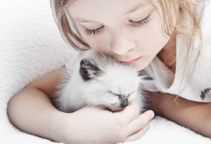 kitten-cat-kids-shutterstock_98379929-1